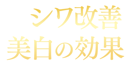NNEニードル炭酸パック<黒>
