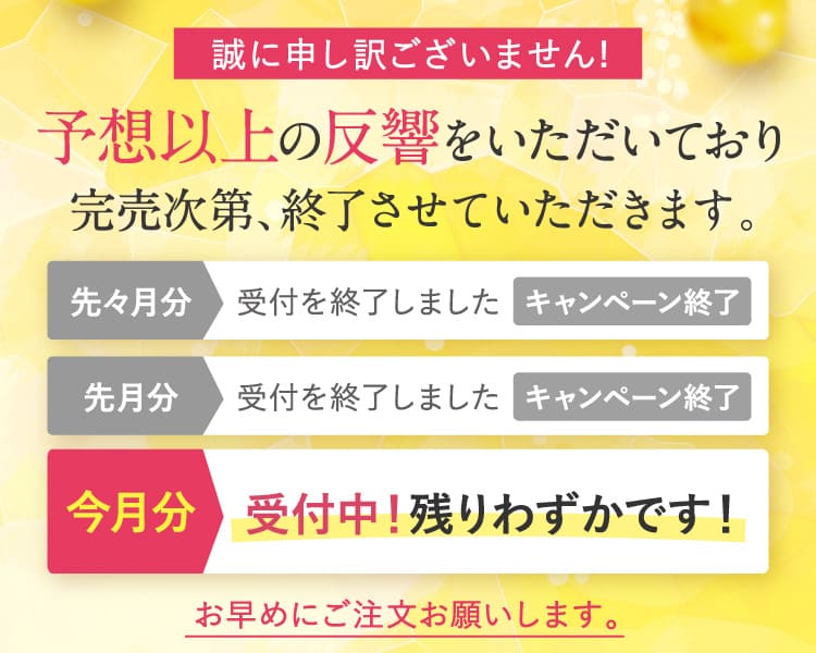 予想以上の反響をいただいており、完売次第、終了させていただきます。