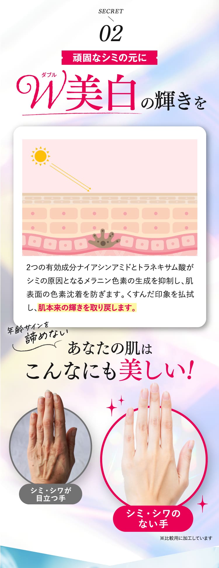 to esellaホワイトハンドセラム