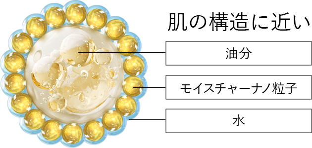 肌の構造に近い