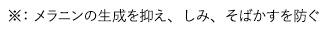 注釈