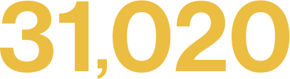 31,020