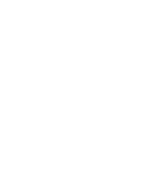 NNE MIRROR FORCE