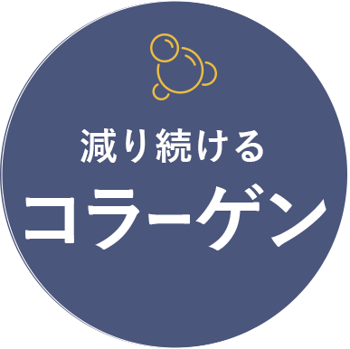 減り続けるコラーゲン