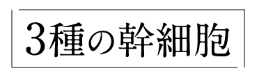 3種の幹細胞