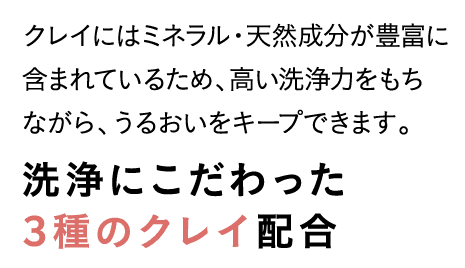 洗浄にこだわった3種のクレイ配合