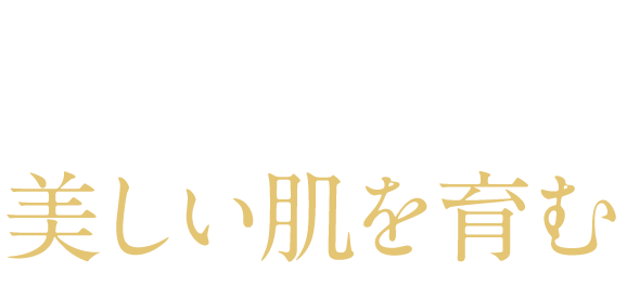 炭酸パックランキングNo.1