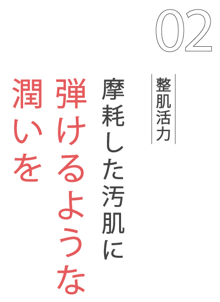 特別セール実施中