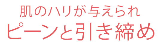 特別セール実施中