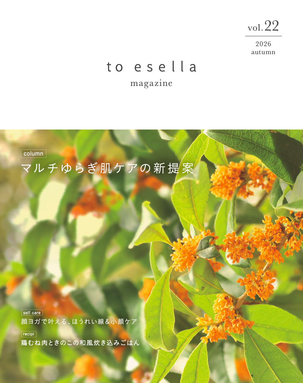 magazine_vol.22